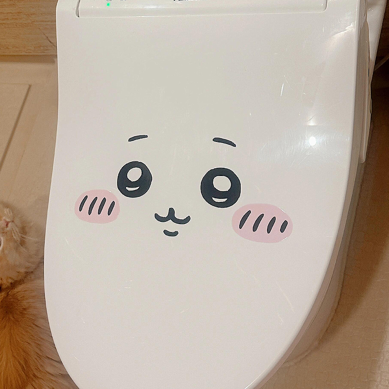 Stiker emoticon jiyi untuk dek - Photography Interior ulasan dan harga