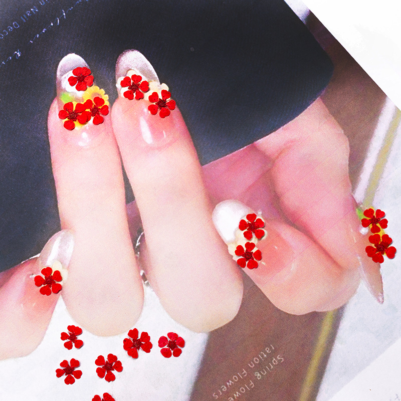 96 Buah Bunga Mini 1.5Cm Alami - Photography Graduation ulasan dan harga