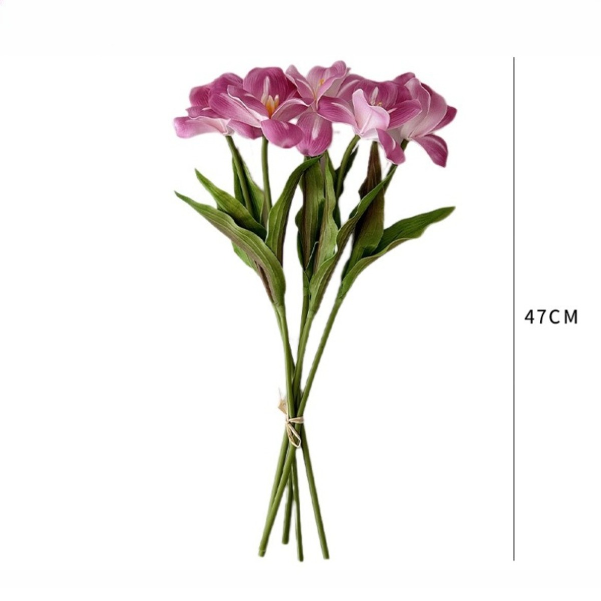 Bunga Tulip Tunggal 18,5 Inci  - Photography Graduation ulasan dan harga