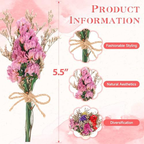 Buket Bunga Kering Mini Alami  - Photography Graduation ulasan dan harga